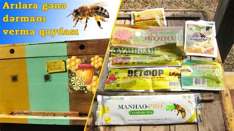 Arıcı baba arı ilaçları